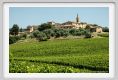 tenuta_di_arceno1737