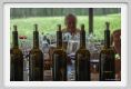 tenuta_di_arceno1952