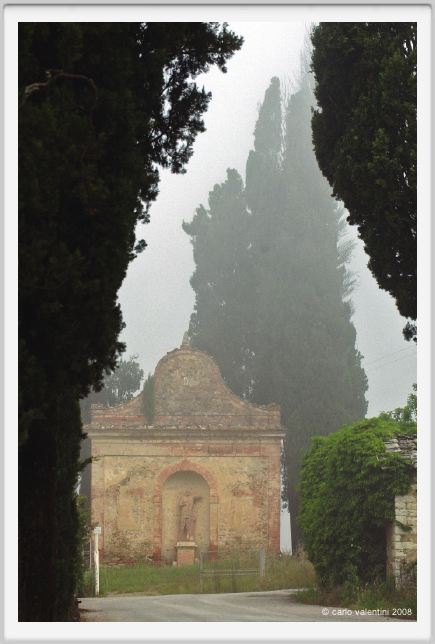 tenuta_di_arceno083