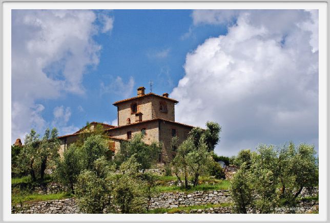 tenuta_di_arceno214