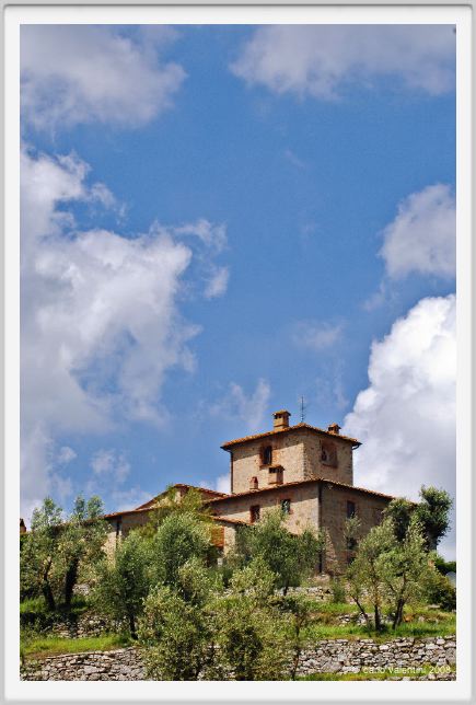 tenuta_di_arceno215