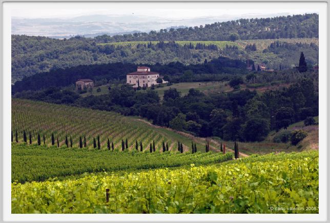 tenuta_di_arceno220