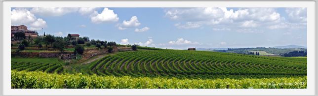 tenuta_di_arceno222