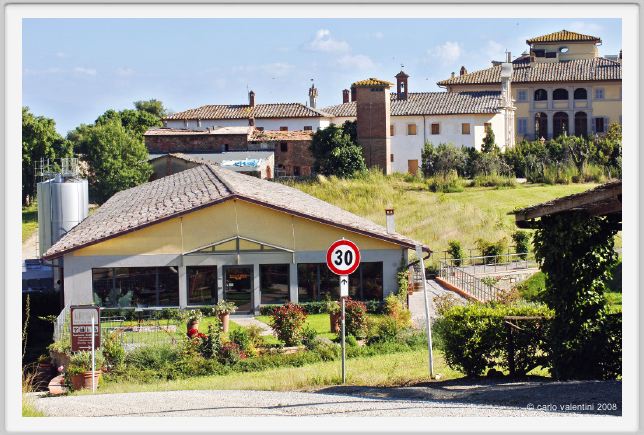 tenuta_di_arceno236