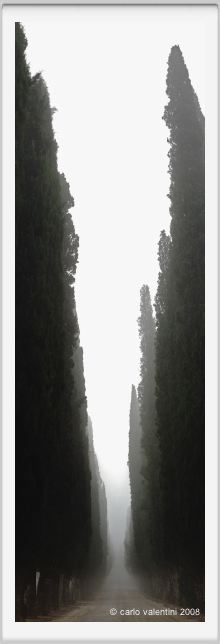 tenuta_di_arceno084