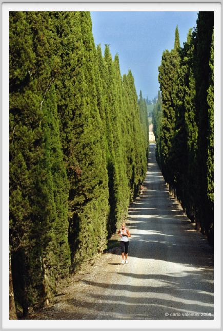tenuta_di_arceno112