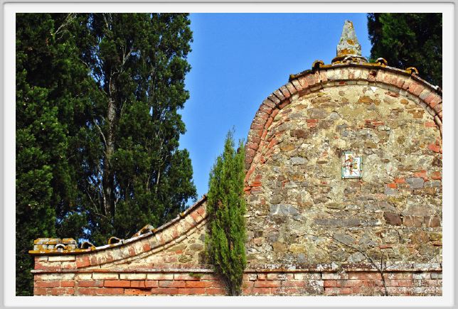 tenuta_di_arceno117