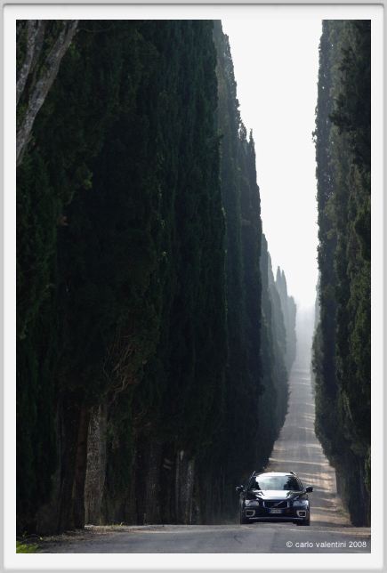 tenuta_di_arceno119