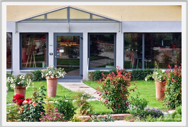 tenuta_di_arceno123
