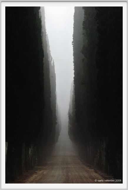 tenuta_di_arceno085