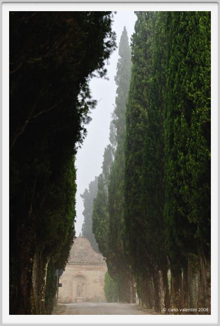 tenuta_di_arceno086