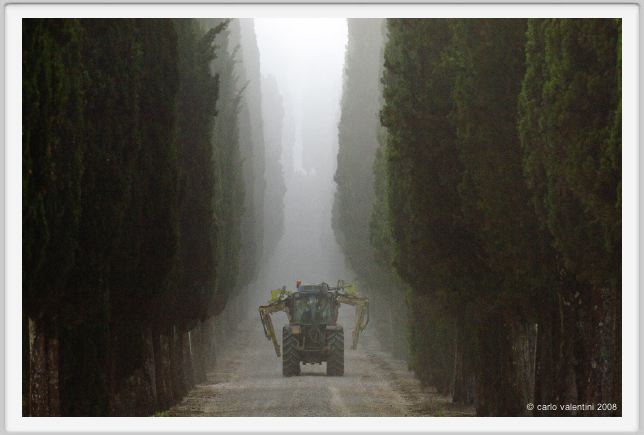 tenuta_di_arceno087