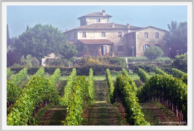tenuta_di_arceno162