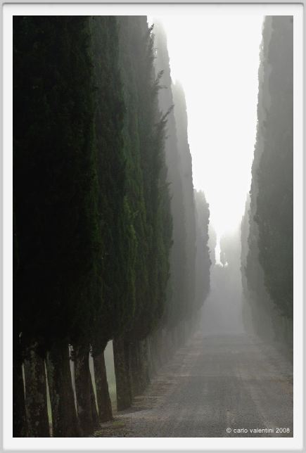 tenuta_di_arceno089