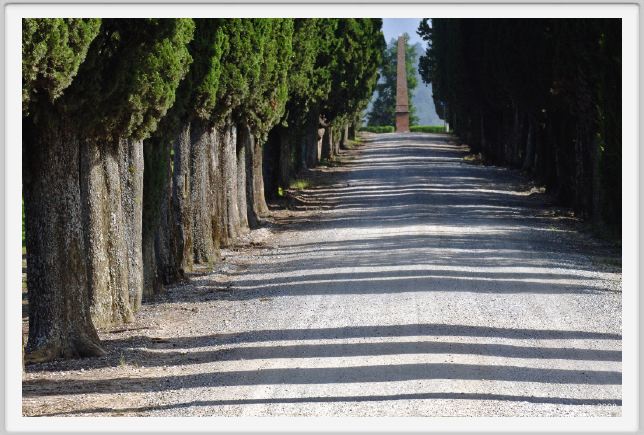 tenuta_di_arceno183