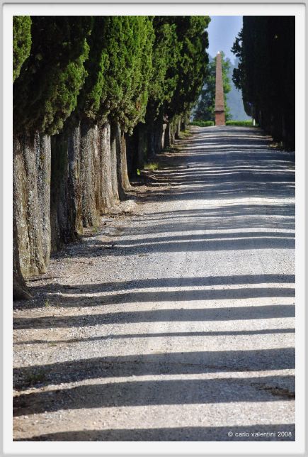 tenuta_di_arceno185