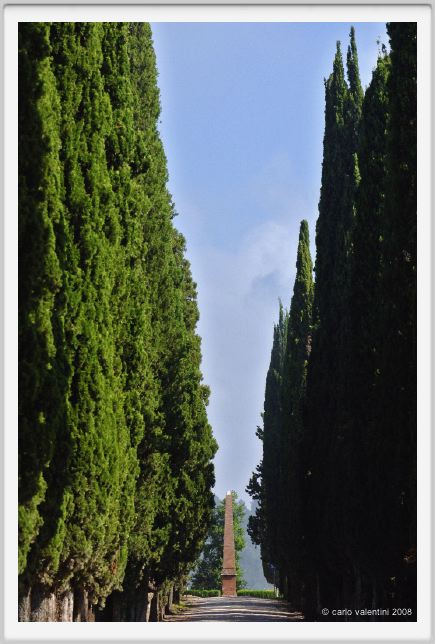 tenuta_di_arceno186