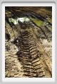 tenuta_di_arceno092