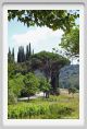 tenuta_di_arceno210