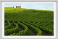 tenuta_di_arceno211
