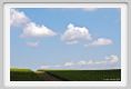 tenuta_di_arceno213