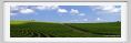 tenuta_di_arceno216