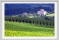 tenuta_di_arceno226