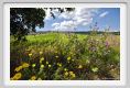 tenuta_di_arceno228