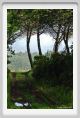 tenuta_di_arceno094