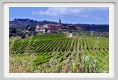 tenuta_di_arceno231