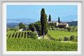 tenuta_di_arceno235