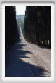 tenuta_di_arceno241