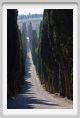 tenuta_di_arceno244