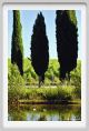 tenuta_di_arceno250
