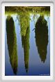 tenuta_di_arceno251