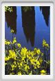 tenuta_di_arceno254