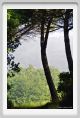 tenuta_di_arceno098