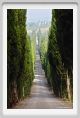 tenuta_di_arceno107