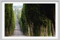 tenuta_di_arceno108
