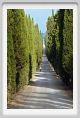 tenuta_di_arceno110