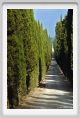 tenuta_di_arceno112