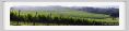 tenuta_di_arceno126