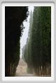 tenuta_di_arceno086