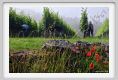 tenuta_di_arceno139