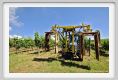 tenuta_di_arceno151