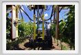 tenuta_di_arceno157