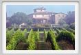 tenuta_di_arceno162