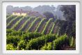 tenuta_di_arceno164