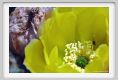 tenuta_di_arceno179