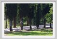 tenuta_di_arceno182